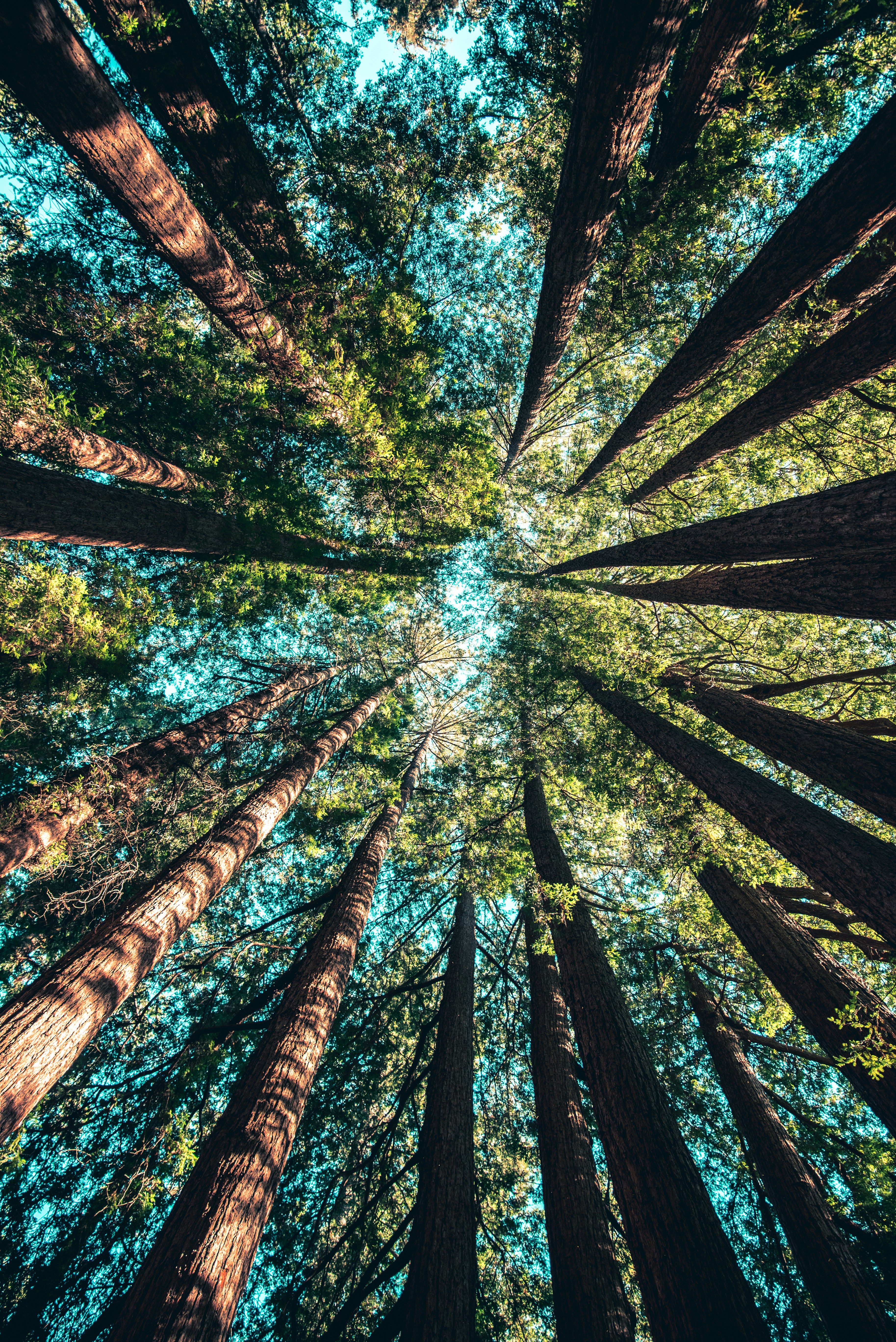 GLP-1 therapy through a telehealth membership model gives you ongoing clinical access without repeated in-person visits. Here is what a well-structured membership includes and how to evaluate your options.