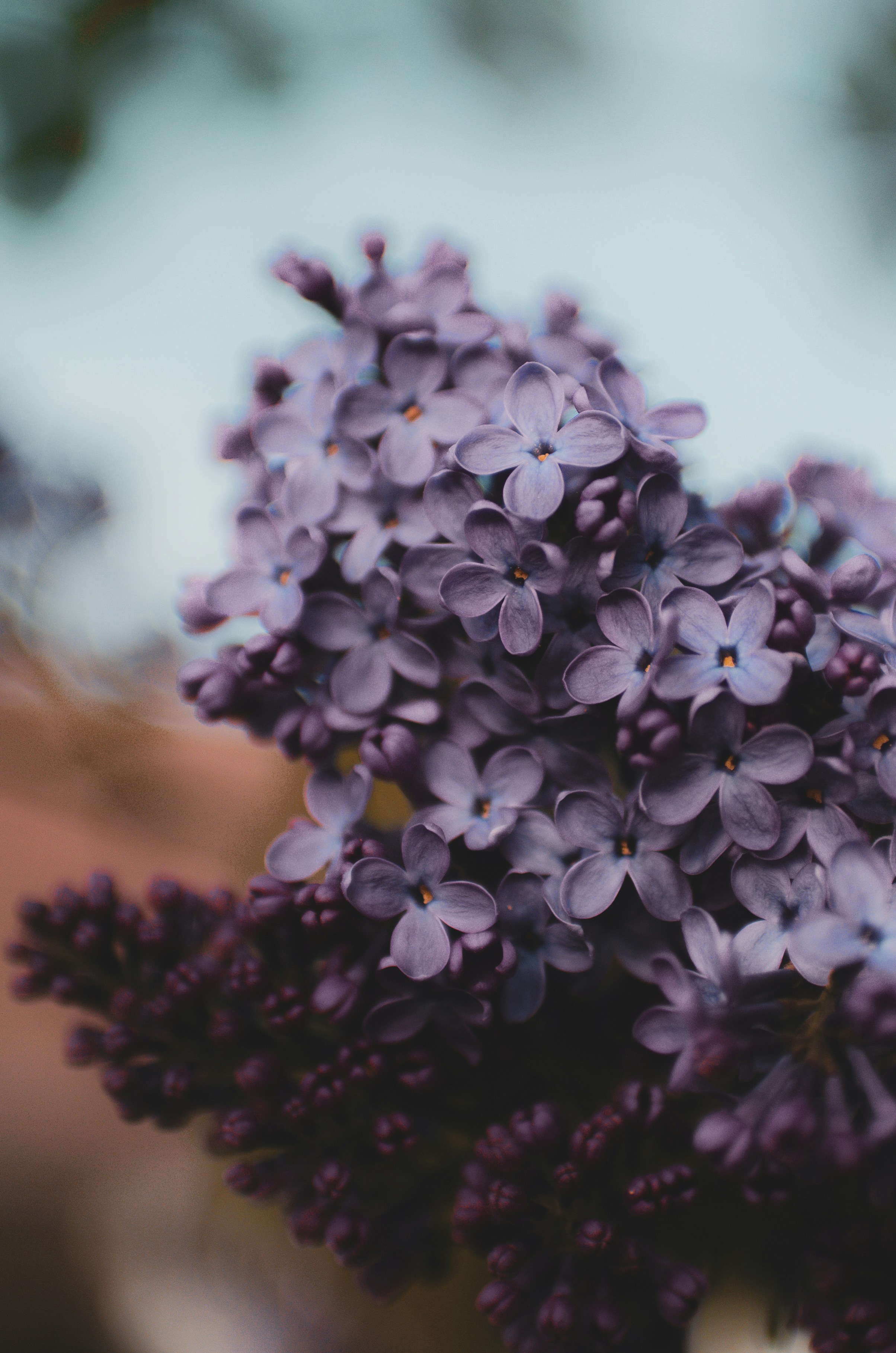 Managing GLP-1 side effects with clinical oversight